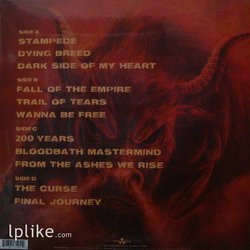 Виниловая пластинка Accept - Blind Rage
