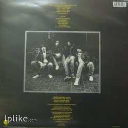 Виниловая пластинка Ramones - Road To Ruin