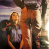 Scorpions - Animal Magnetism