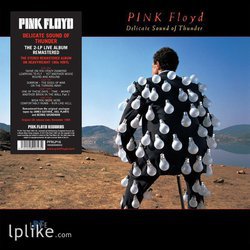 Виниловая пластинка Pink Floyd - Delicate Sound Of Thunder