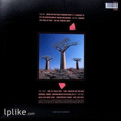 Виниловая пластинка Pink Floyd - Delicate Sound Of Thunder