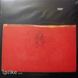 Виниловая пластинка Radiohead - Amnesiac