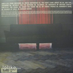 Виниловая пластинка Placebo - Without You I'm Nothing