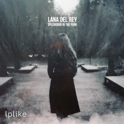 Виниловая пластинка Lana Del Rey - Splendour In The Park
