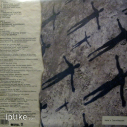 Виниловая пластинка Muse - Absolution