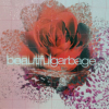 Garbage - Beautiful Garbage