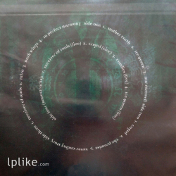 Виниловая пластинка Within Temptation - Mother Earth