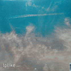 Виниловая пластинка 30 Seconds To Mars - It's The End Of The World But It's A Beautiful Day