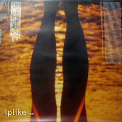 Виниловая пластинка Fatboy Slim - Halfway Between The Gutter And The Stars